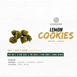 White Lemon Cookies hybrid flower