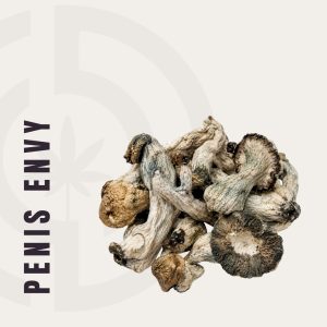 Penis Envy